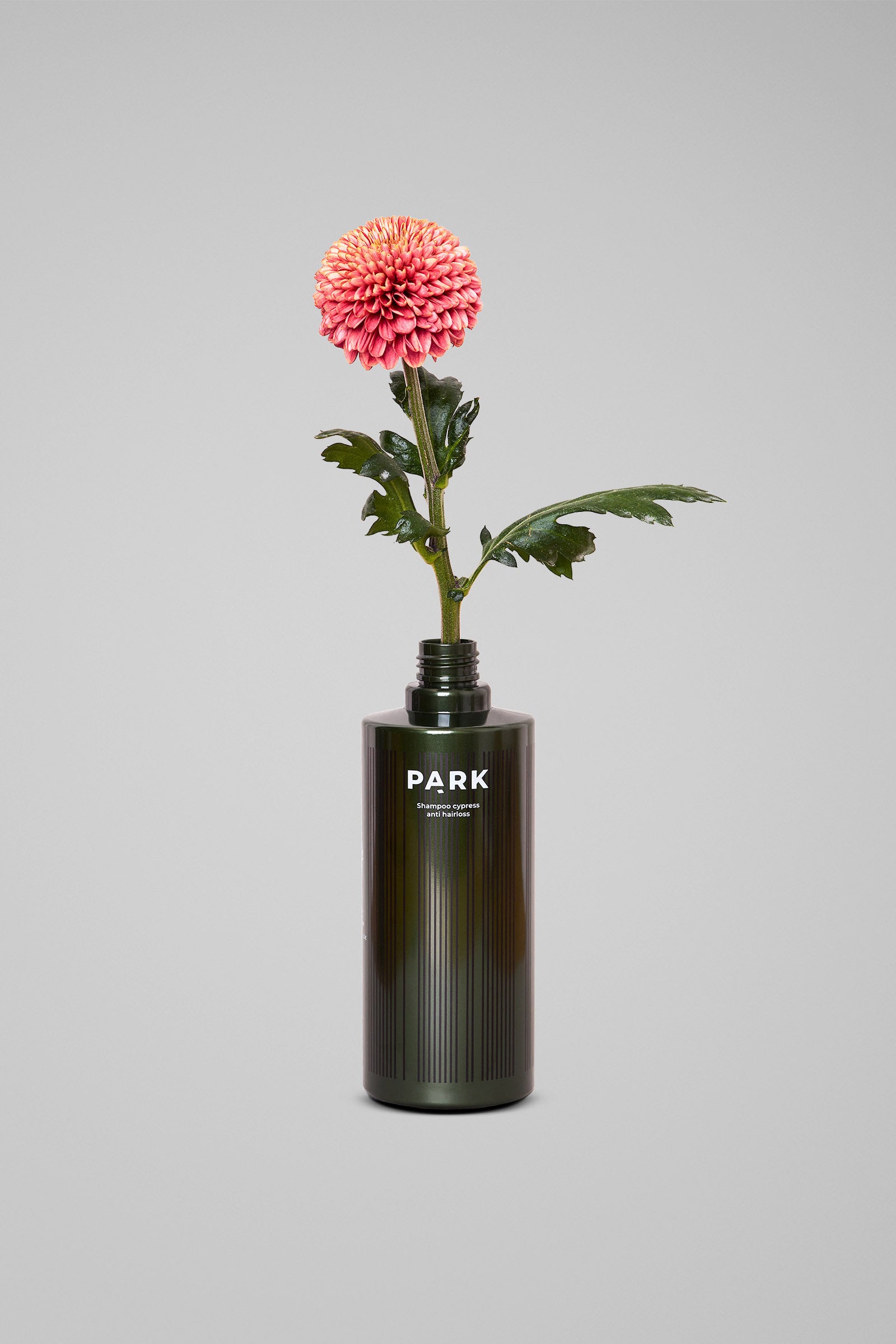 Cypress Shampoo - Anti-hair loss shampoo