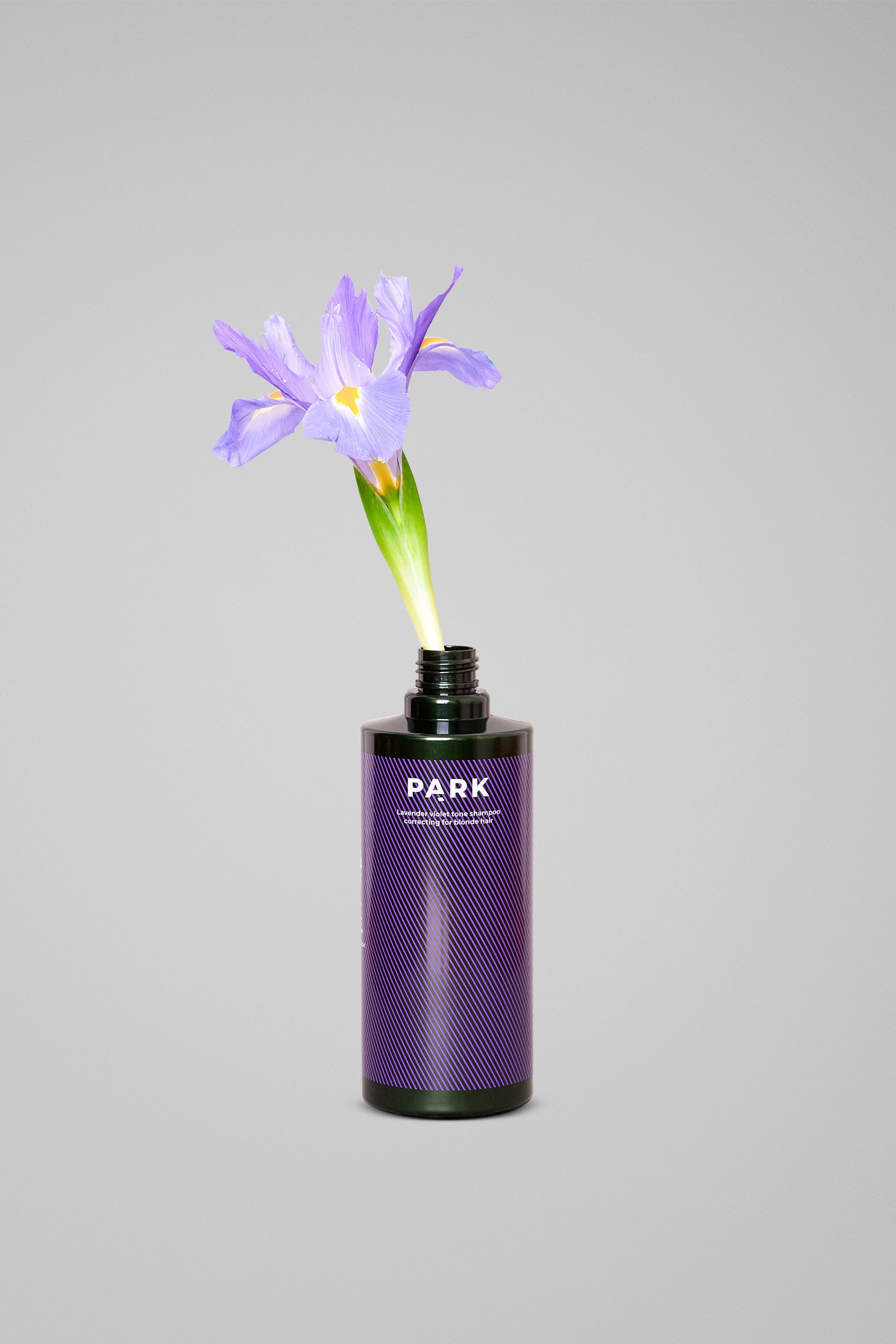 Lavender Violet Tone Shampoo - Moisturizing silver shampoo for blonde hair