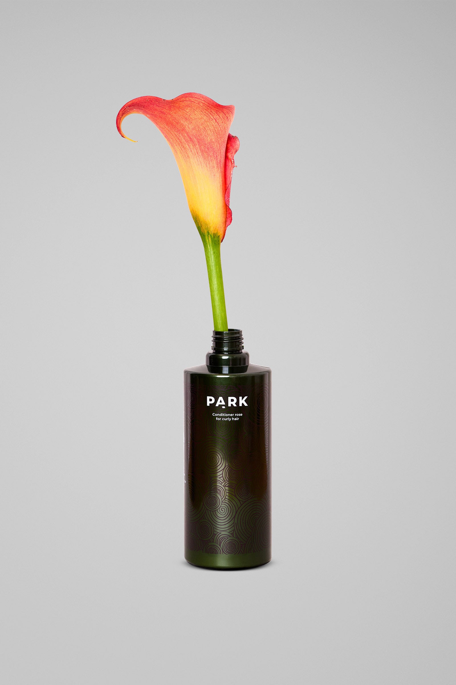 Rose Conditioner - Conditioner for curly hair