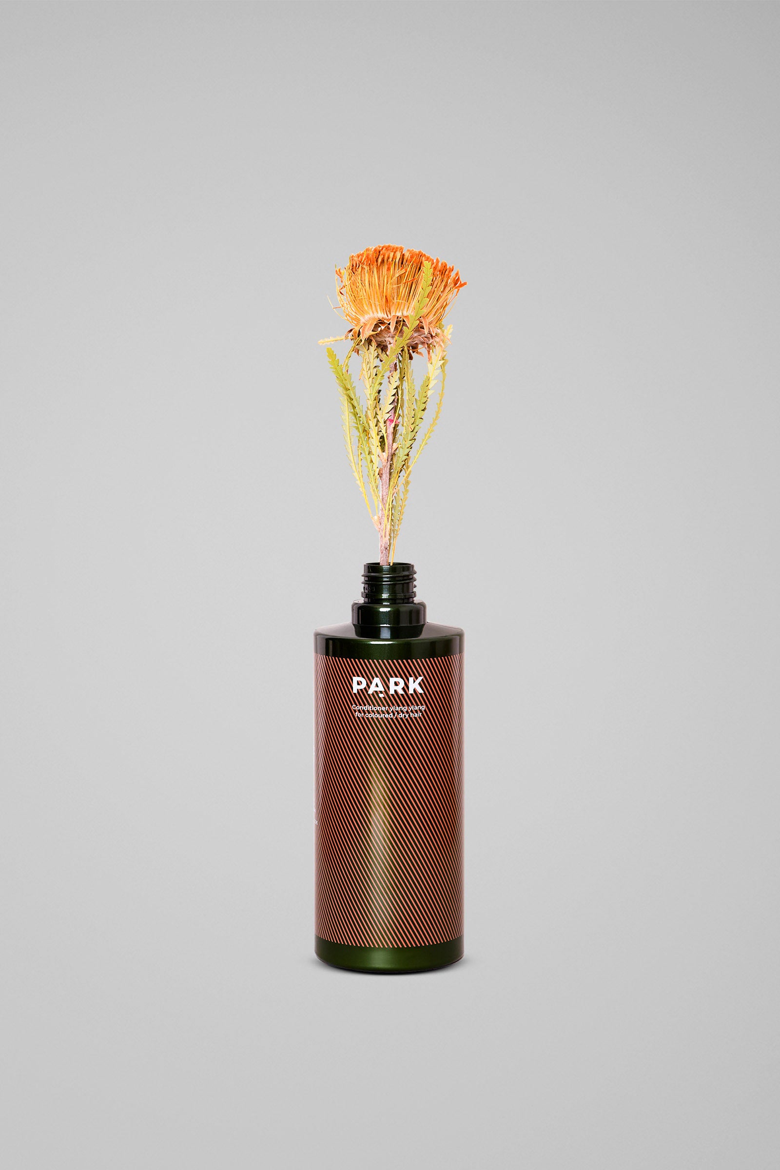 Ylang Ylang Conditioner - Conditioner for colored hair